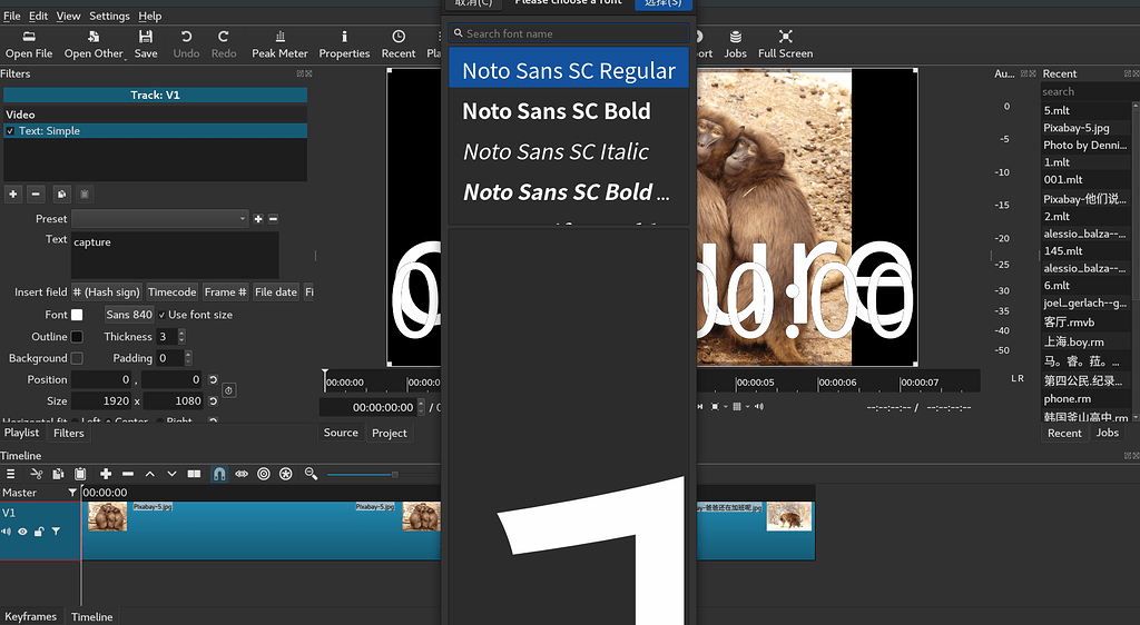Two bugs about Filter > Text - Bug - Shotcut Forum