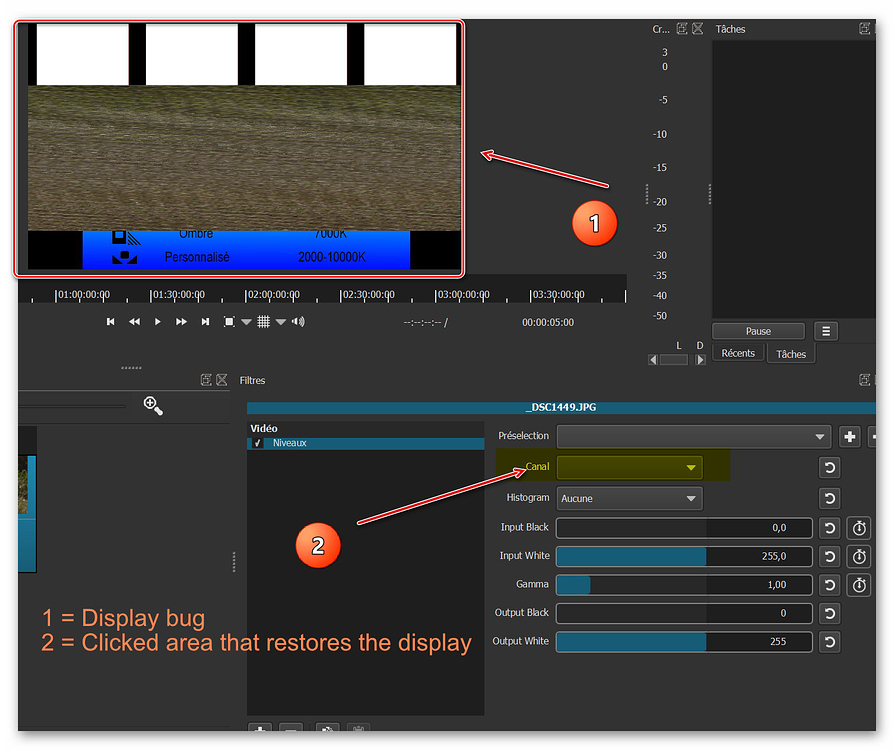 Display bug using the level filter Bug Shotcut Forum