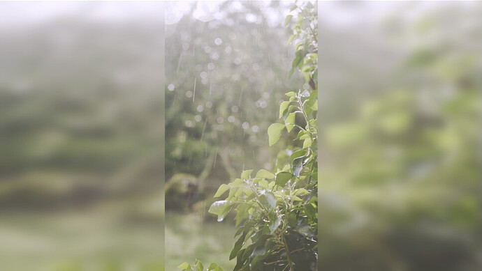 Screenshot from 2021-03-13 13-31-40