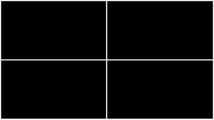 white border with black