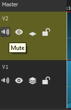 track 2 mute