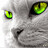 Dmitriy_Di